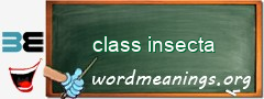 WordMeaning blackboard for class insecta